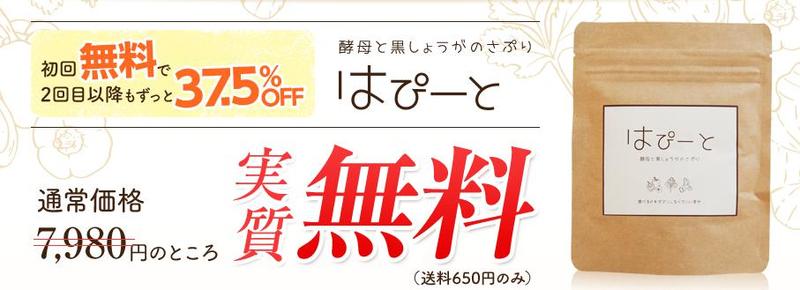 �͂ҁ[�Ɓ@�_�C�G�b�g�T�|�[�g���T�C�g