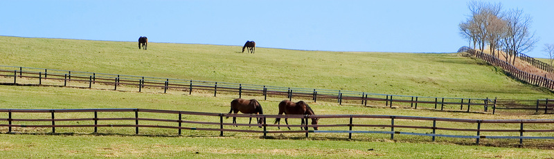 SIZUP(サイザップ)情報サイト