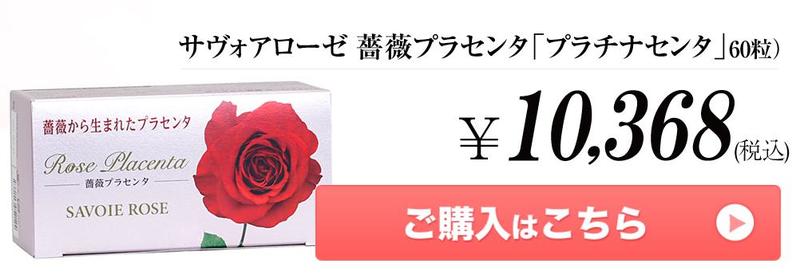 �K�N�v���Z���^�y�v���`�i�Z���^�z���T�C�g