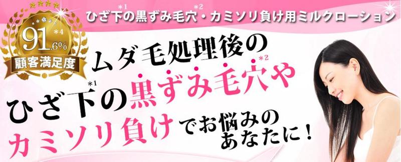 �V���L�[�N�C�[�����T�C�g